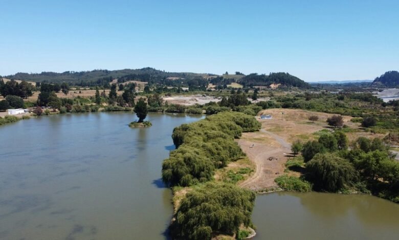 download hub host overview