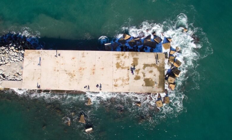 extramovies today platform overview