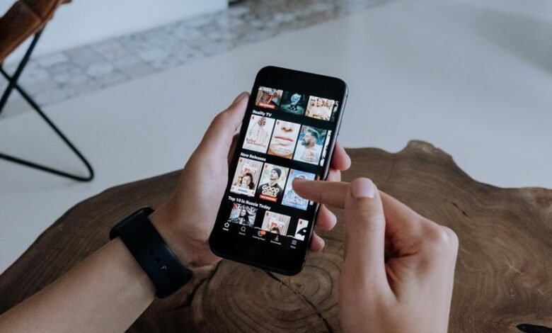 fapmovs streaming platform details