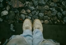 fashion platform overview details