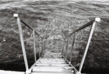 filmygod 8 platform overview