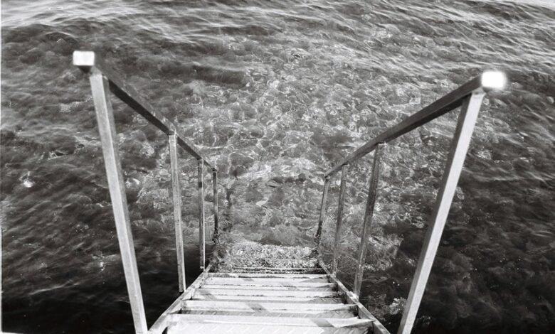 filmygod 8 platform overview