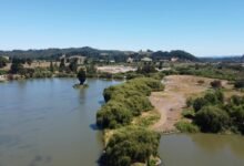 live sports score updates