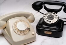 verified corporate tech contact