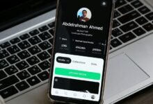 yvences93 activity and statistics