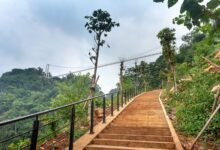 a simple guide panarasss8 step by step