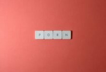 complete guide to porn site details
