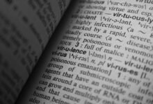 pornocomoegenda guide for everyone